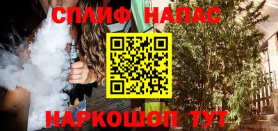 jwh Кингисепп