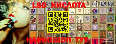 jwh Кингисепп