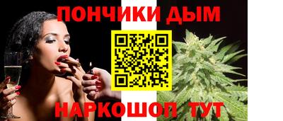 jwh Кингисепп