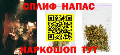 jwh Кингисепп
