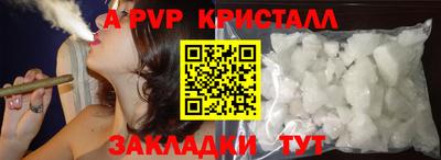 jwh Кингисепп