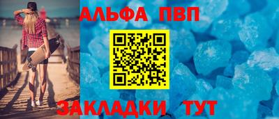 jwh Кингисепп