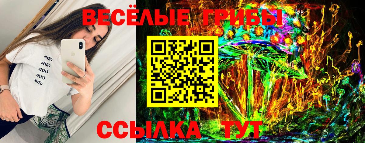 Псилоцибиновые грибы мицелий Кстово